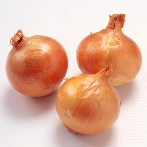 Oignons Frais de Qualité – Saveur Naturelle et Fraîcheur Garantie