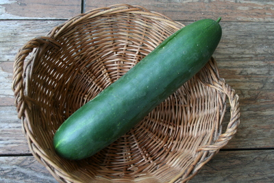 Concombres Frais de Qualité – Croquants et Rafraîchissants